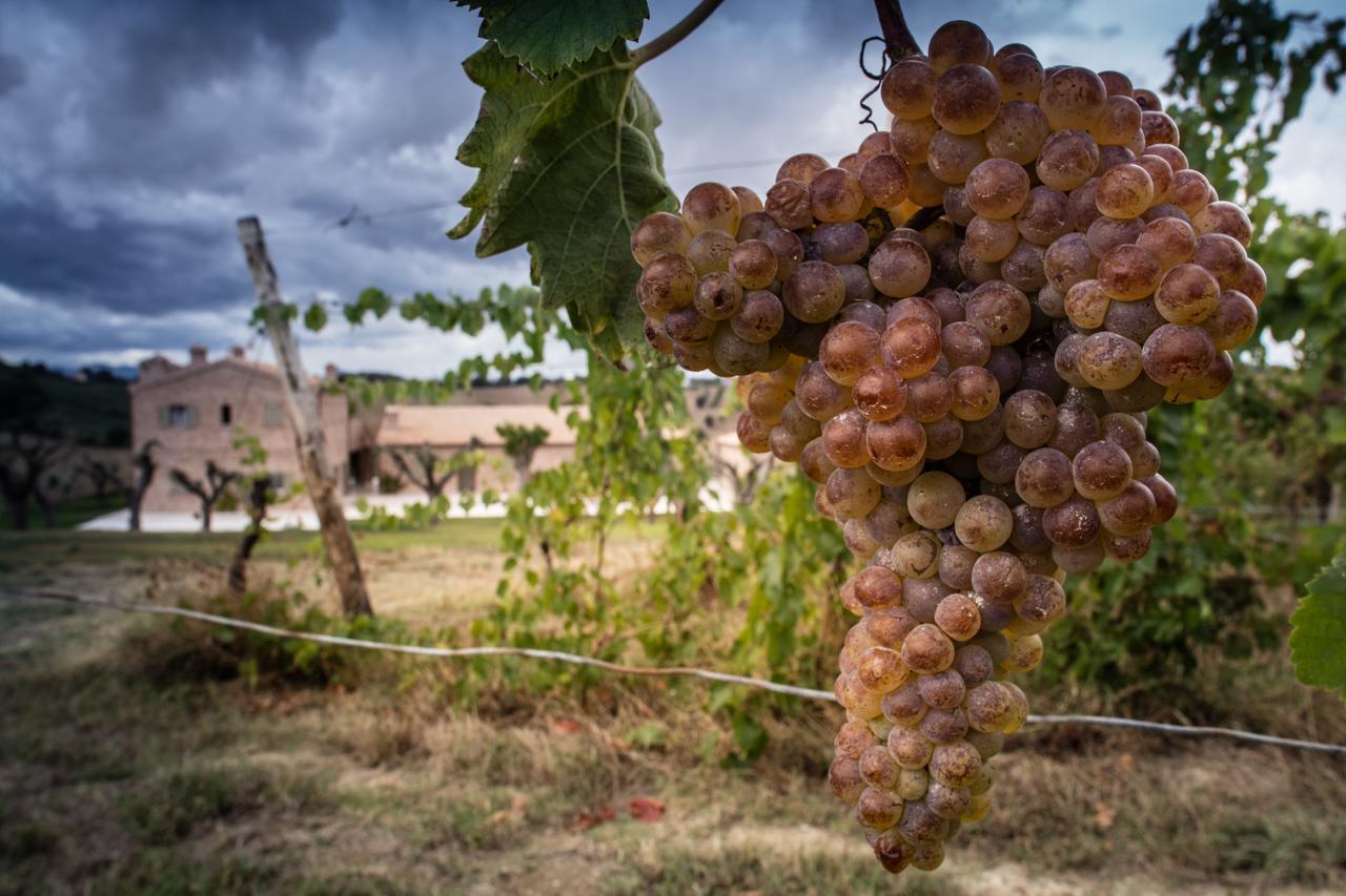 Filodivino Wine Resort & Spa 산 마르첼로 외부 사진