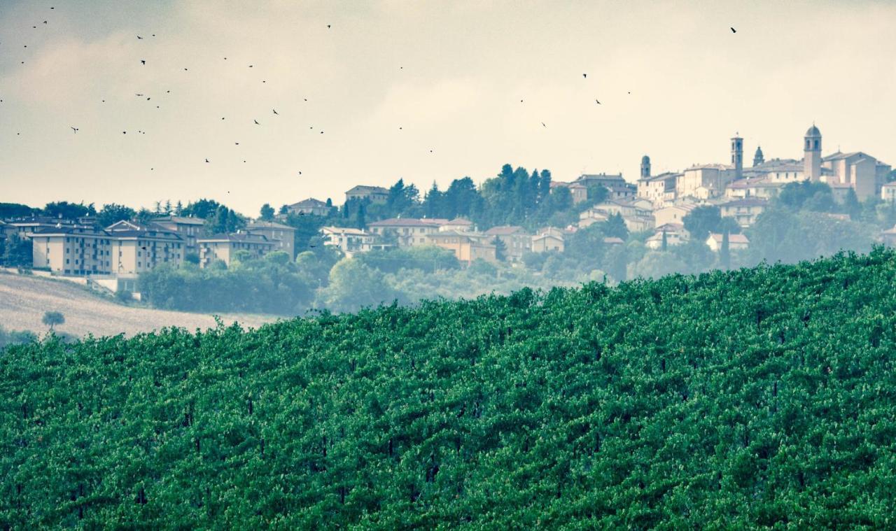 Filodivino Wine Resort & Spa 산 마르첼로 외부 사진